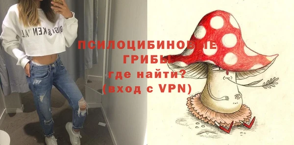 PSILOCYBIN Верея