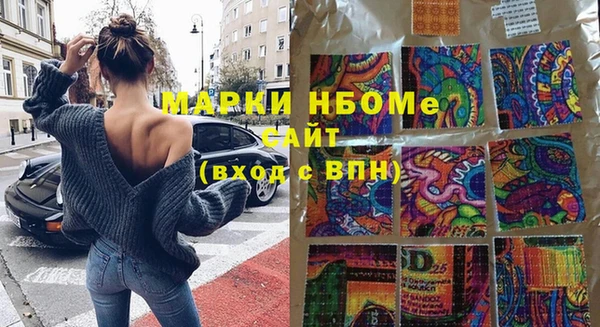 spice Бородино